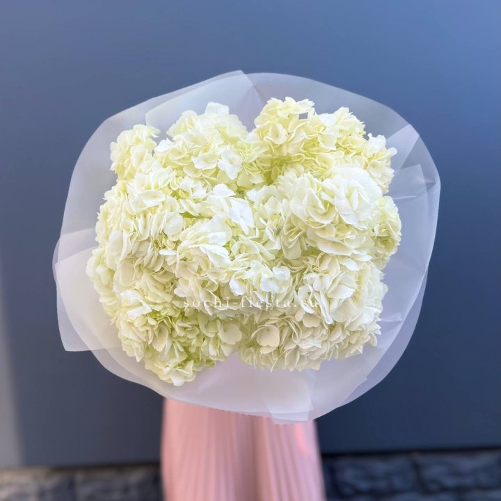 7 белых гортензий в Стерлитамаке