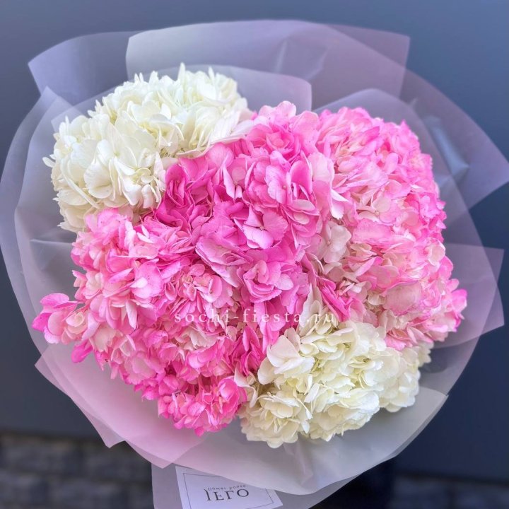 5 бело-розовых гортензий в Стерлитамаке