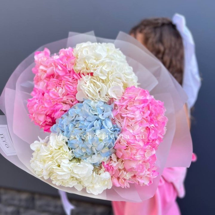7 гортензий микс в Стерлитамаке