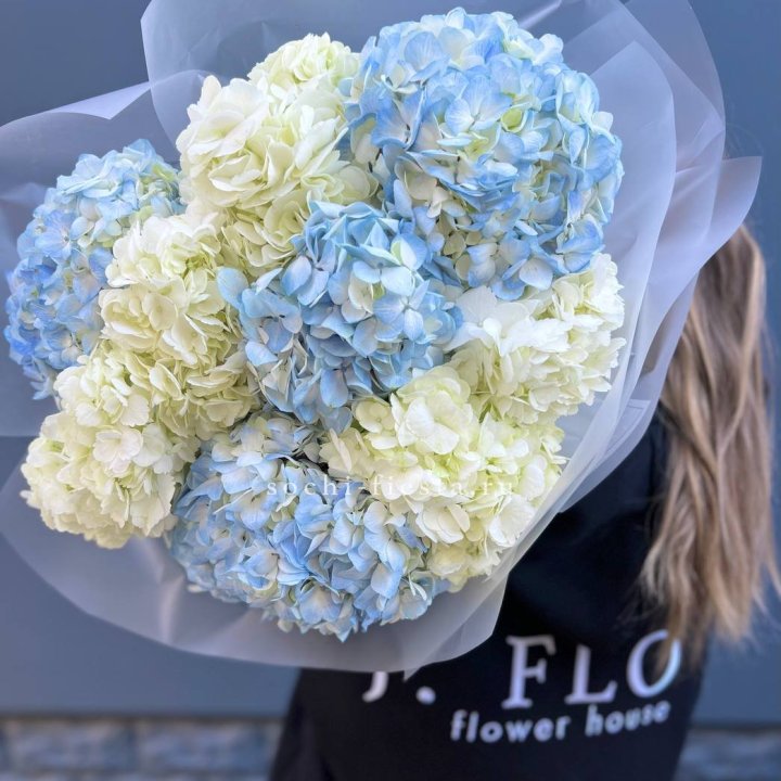 9 бело-голубых гортензий в Стерлитамаке