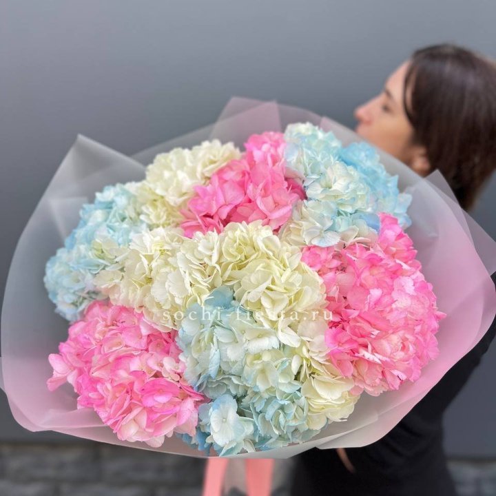 9 гортензий микс в Стерлитамаке