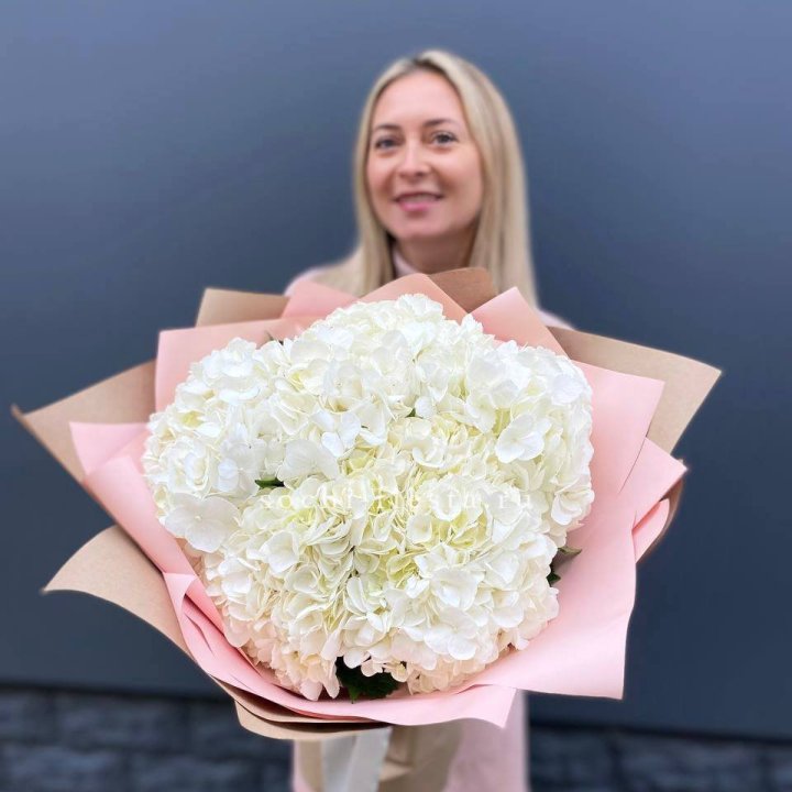 Гортензия белая в Стерлитамаке