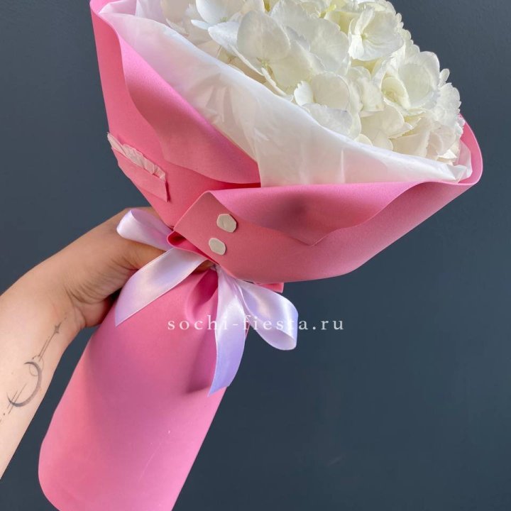 Гортензия в розовом пиджаке в Стерлитамаке