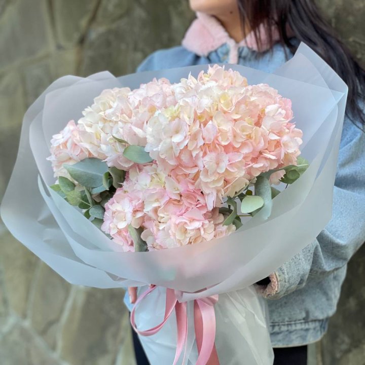 5 розовых гортензий в Стерлитамаке