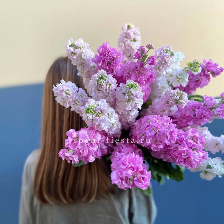 Охапка маттиолы в Стерлитамаке