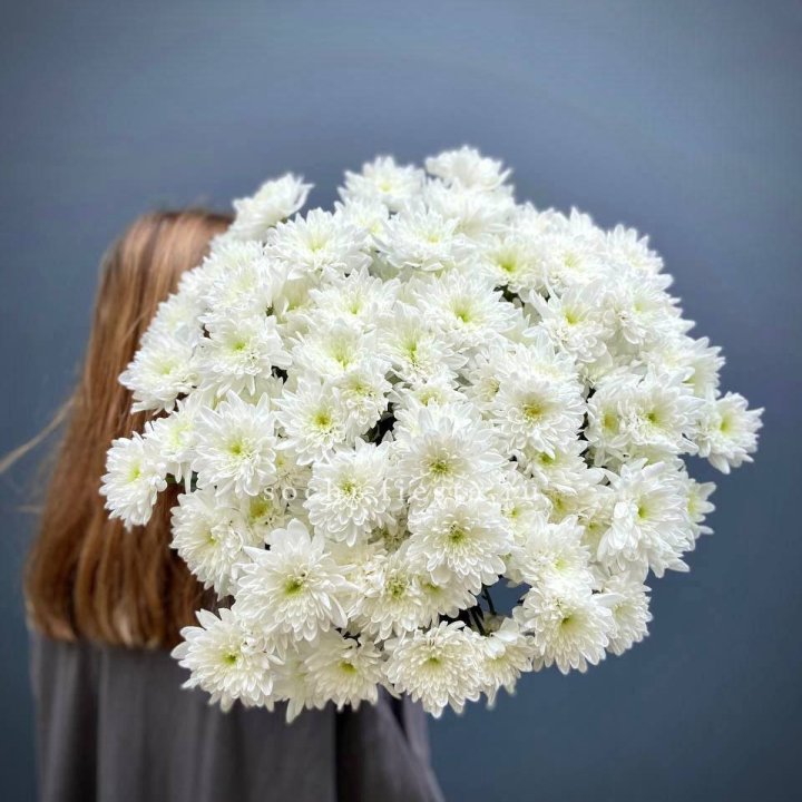 Охапка Хризантемы кустовой в Стерлитамаке