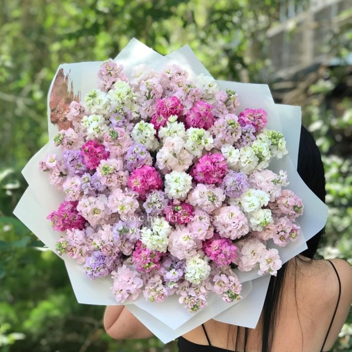 Букет ароматной маттиоллы №3 в Стерлитамаке