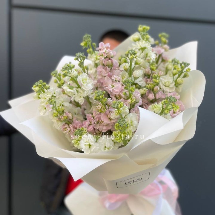 29 маттиол  в Стерлитамаке