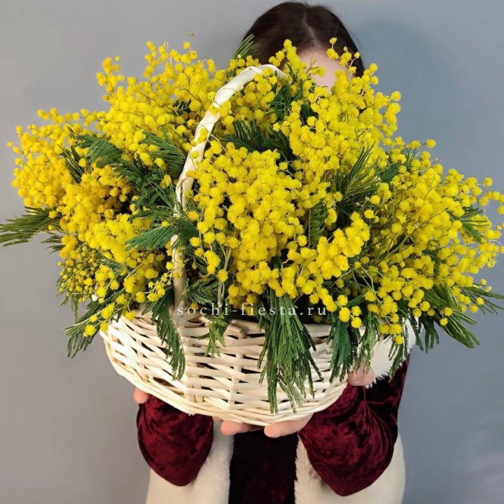 Корзина ароматной мимозы в Стерлитамаке