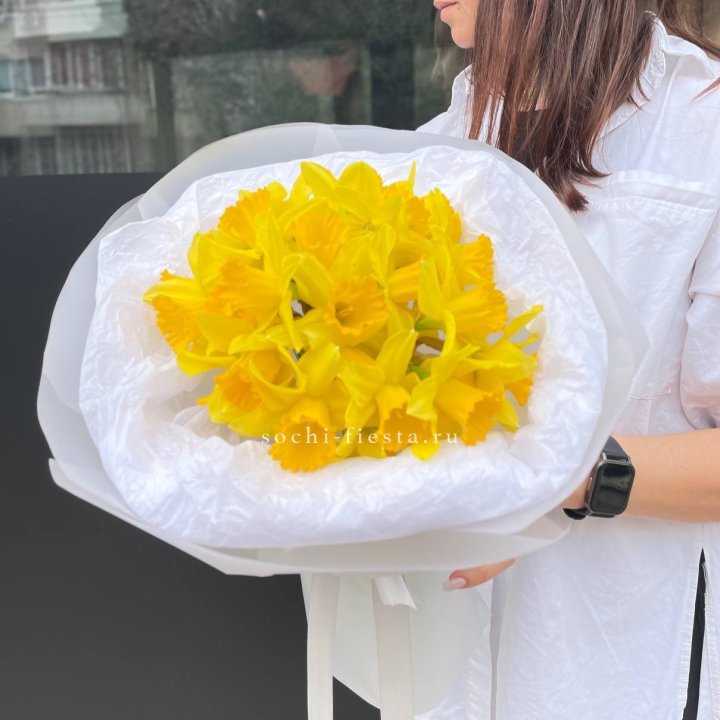 Нарциссы 25 шт в Стерлитамаке