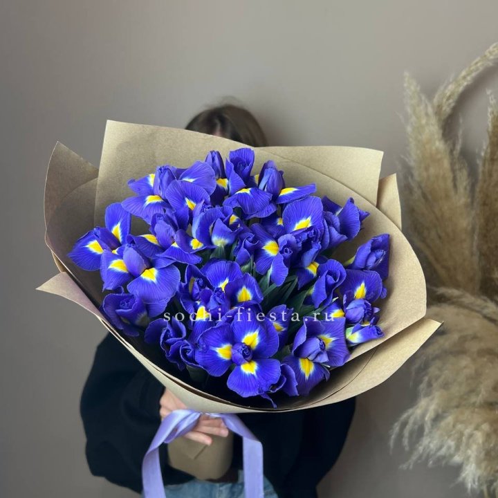 Ирисы в Стерлитамаке