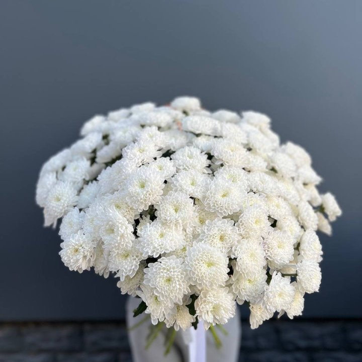  25 хризантем белых в Стерлитамаке