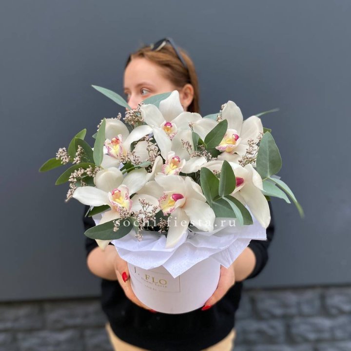 7 орхидей в боксе в Стерлитамаке