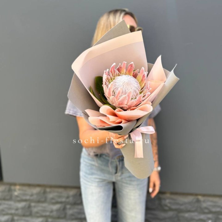 Протея мини  в Стерлитамаке