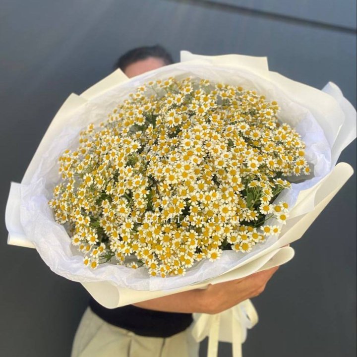 Букет ромашек №2 в Стерлитамаке