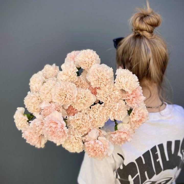 Охапка диантусов  в Стерлитамаке