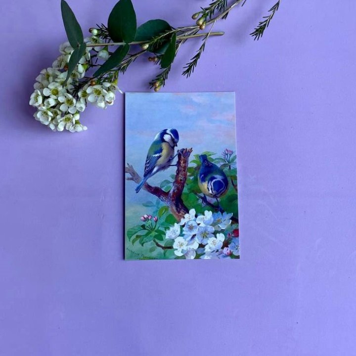 Открытка к букету "Птицы" в Стерлитамаке