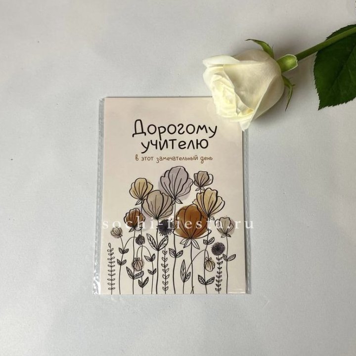 Открытка к букету "Дорогому учителю" в Стерлитамаке