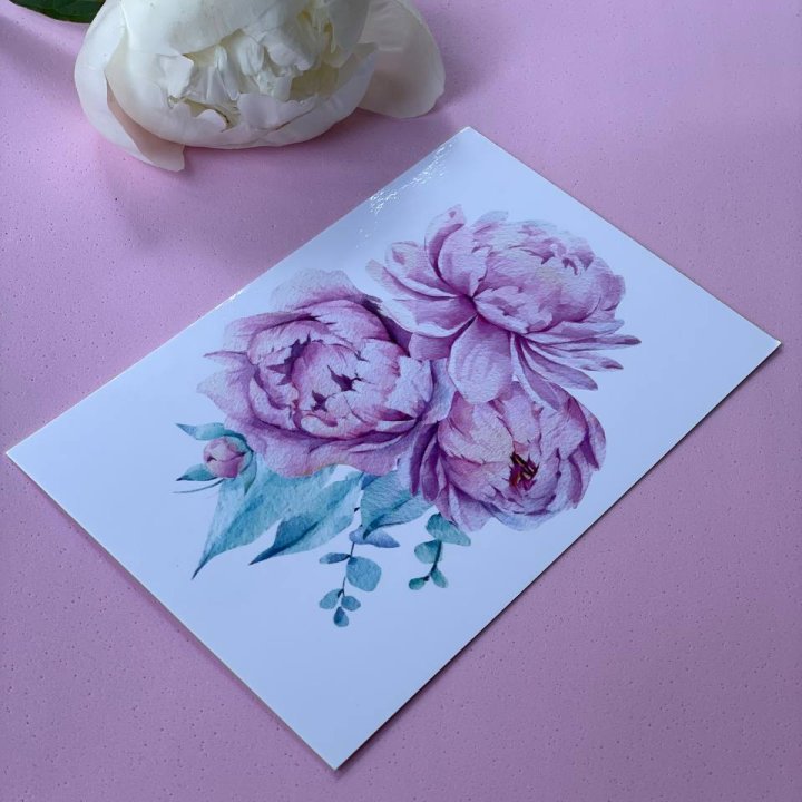 Открытка к букету "Пионы" в Стерлитамаке