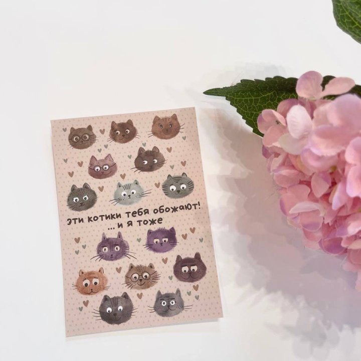 Открытка к букету "Котики" в Стерлитамаке
