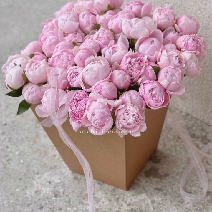 49 пионов в крафт коробке в Стерлитамаке