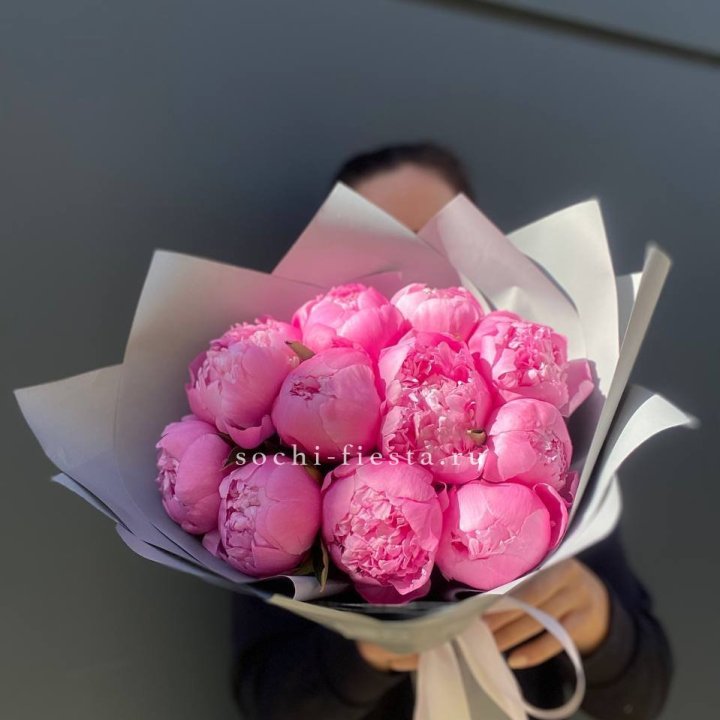 Пионы Алекс флеминг в Стерлитамаке