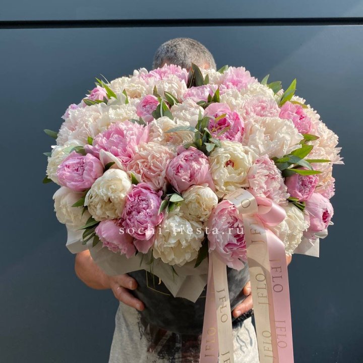 51 пионов в боксе в Стерлитамаке