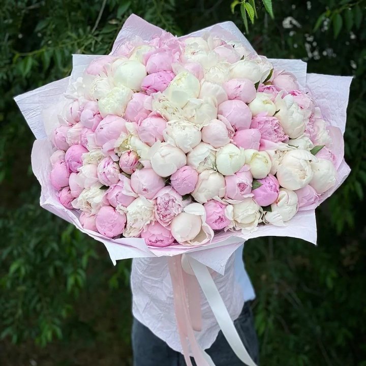 101 пион в Стерлитамаке