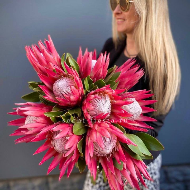 Протея штучно в Стерлитамаке