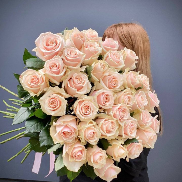 35 кремовых высоких роз в Стерлитамаке