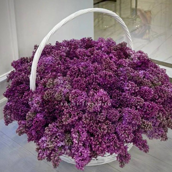 Корзина сирени в Стерлитамаке