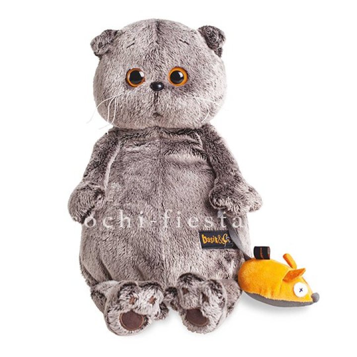 Кот Басик с мышкой в Стерлитамаке