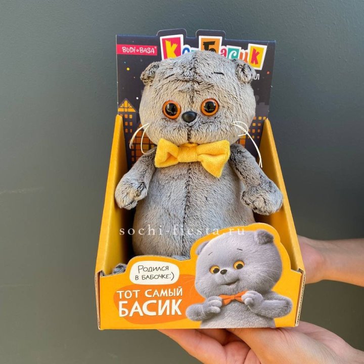 Кот Басик с бабочкой в Стерлитамаке