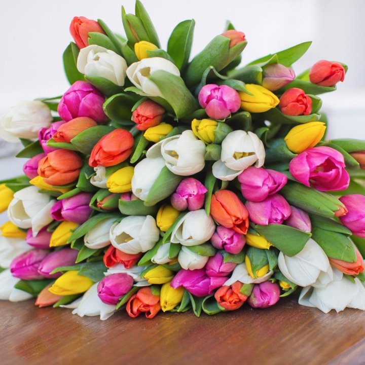 79 тюльпанов "Рандом" в Стерлитамаке