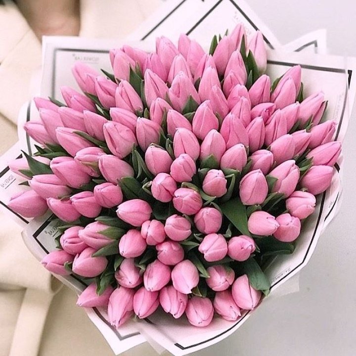 101 розовый тюльпан в белом в Стерлитамаке