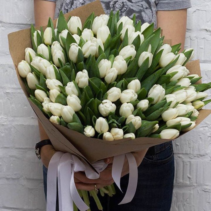 101 тюльпан сноу в Стерлитамаке