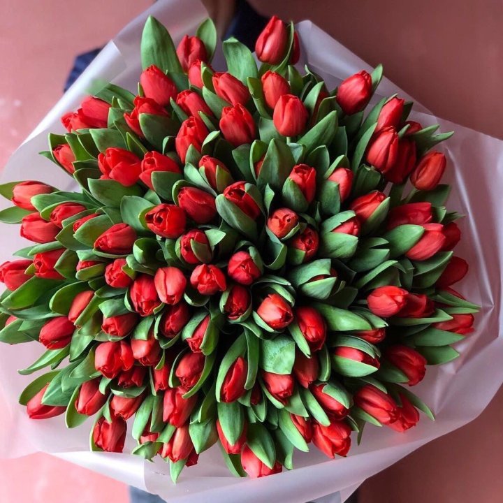 101 красный тюльпан в Стерлитамаке